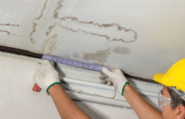 Reliable Flood Cleanup contractor in Mckenna, WA by Water Damage Irwin